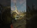 Do you want a G1 blacktail like my self 😁🙃 hunter call of the wild. #cotw #expansiveworlds
