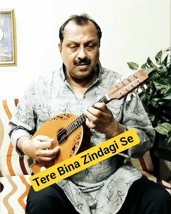 Tere Bina Zindagi Se | Pradipto Sengupta Mandolin|#latamangeshkar #rdburman #kishorekumar #music