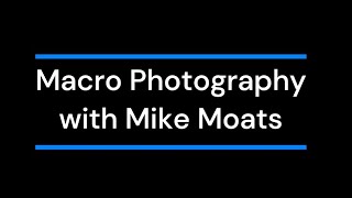 Macro Photography  Mike Moats screenshot 3
