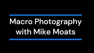 Macro Photography  Mike Moats screenshot 5