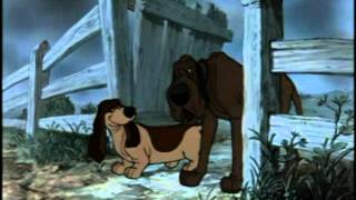 Edgar Vs. The Dogs Wmusic Of Kung Fu Panda 2