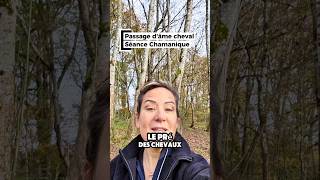 passage d'âme cheval - Séance Chamanique #amour #chamanisme