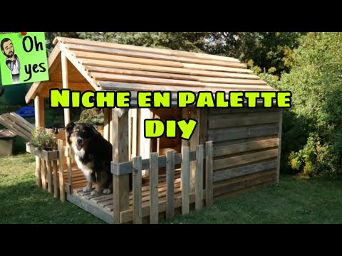 2019 Fabriquer Une Niche En Palette DIY