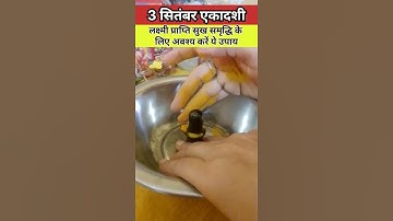 3 सितंबर एकादशी लक्ष्मी प्राप्ति धन समृद्धि उपाय #ekadashi #laxmiprapti #pradeepmishra #viralshort