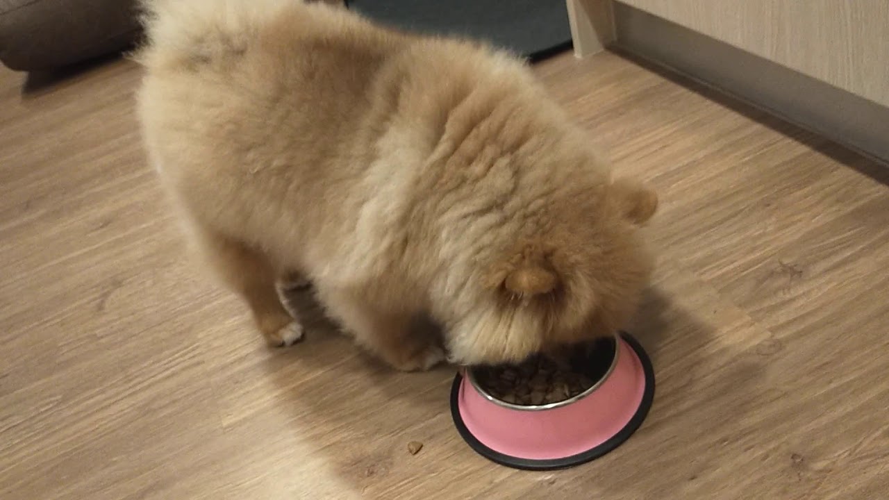 Does she like "Natto" ?