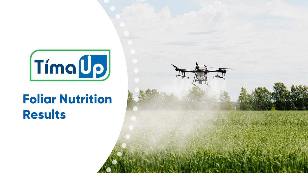 Trial Results | TimaUp Foliar Nutrition