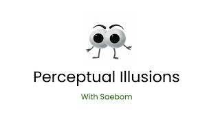 Learn about Perceptual Illusions!