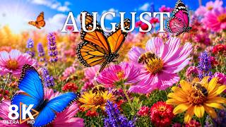 August 2026 – Colorful Blooming Flowers in 8K 🌸 Butterflies, Bees & Summer Scenery