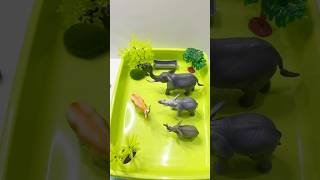 Asmr Elephant Deer Mini Diorama Safari Jungle Farm Jurassic Animal Toys, Satisfying Video
