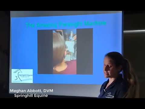 springhill equine overview condensed