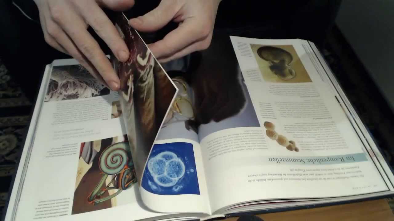 [ASMR] Book Page Turning, Flipping, Stroking, Sweeping (no talk, whisper or face)