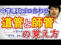 中学理科【ゴロ合わせ】「道管・師管の覚え方」