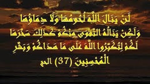 3/  لَن يَنَالَ اللَّهَ لُحُومُهَا وَلَا دِمَاؤُهَا  سورة  الحج  من 37 إلى 59