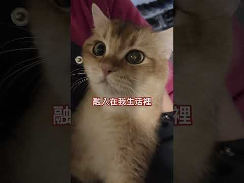 就算係忙碌嘅媽媽，只需要將運動融入生活當中，咁就可以更健康更fit啦 #媽媽日常 #跑步 #運動習慣 #瘦身減肥
