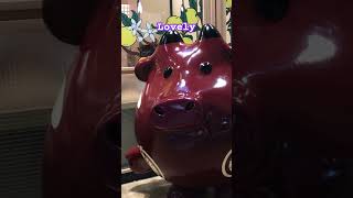 Lovely  wellerman acapella seashanty song kpop travel love 