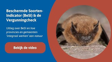 Beschermde SoortenIndicator (BeSI) & de Vergunningcheck