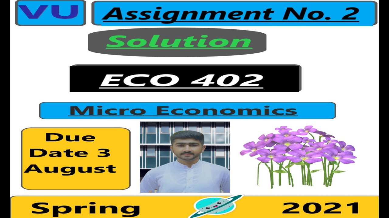 Eco402 Assignment No 2 Solution Spring 2021|Micro Economics Complete Solution file by usama rajpoot