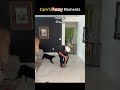Cam’s funny moments compilation #fyp #challenge #foryou #usa🇺🇸