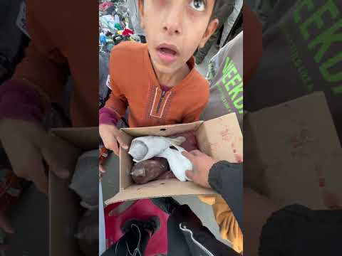 طيور سعر الواحد بخمسميت دينار