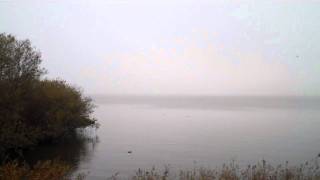 2011-11-10 15 14 24.MP4