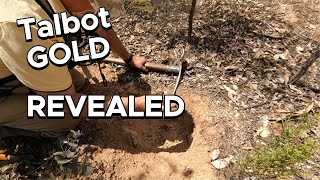 Gold Prospecting Talbot's Victorian bush with the Minelab GPZ 7000 and Nugget Finder 17'x13' coil