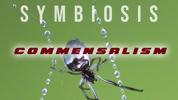 Symbiosis: Commensalism