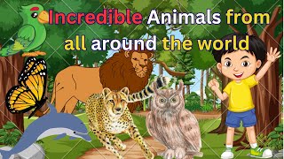 Unlocking the Secrets of the Enchanted Forest: A Tale of Magic and Discovery