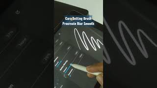 Smooth Brush Setting On Procreate