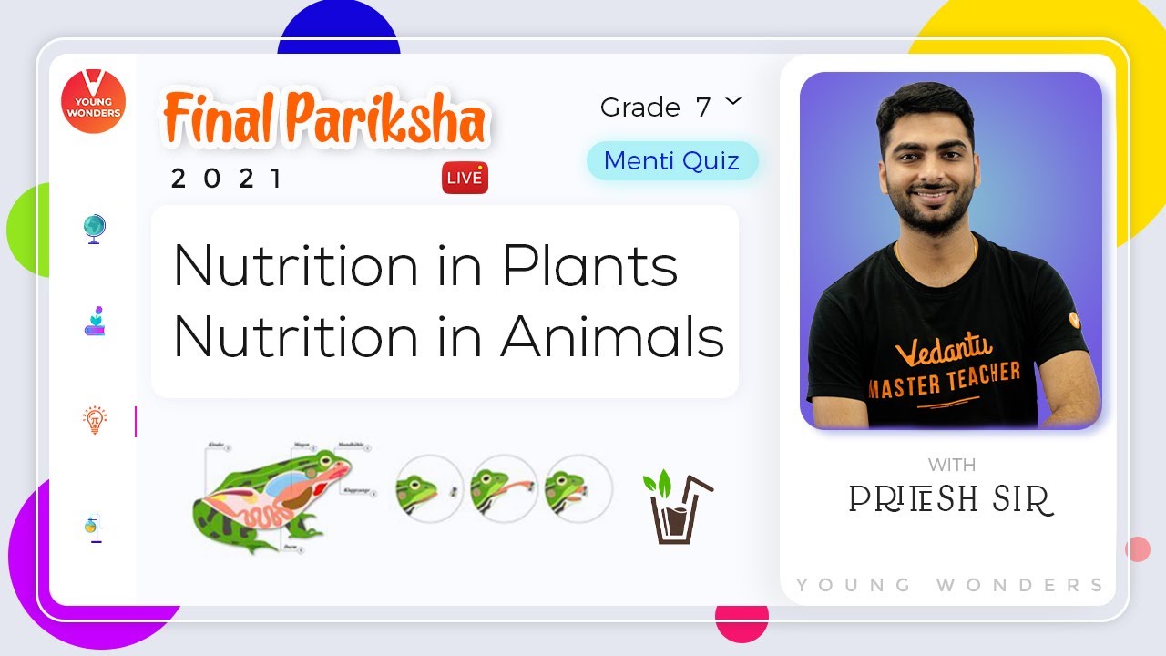 Nutrition In Plants | Nutrition In Animals | Class 7 Science Chapter 1,  Chapter 2 | Revision Series - YouTube