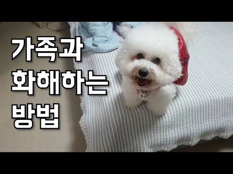 강아지가 대들어요! 오똑하죠?