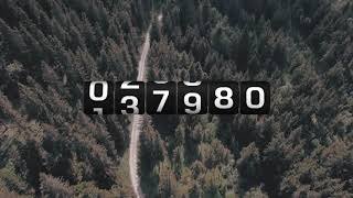 Odometer