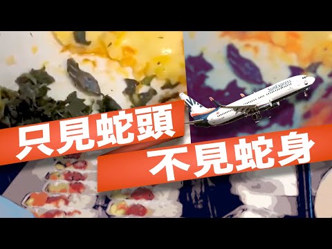 【on.cc東網】飛機餐藏蛇頭　空服員反胃