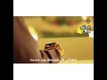 اذهلتني علي ال جميله