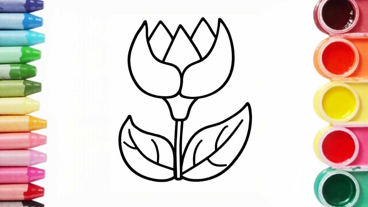 How to Draw a Flowers | Step by Step Tulip Drawing Tutorial