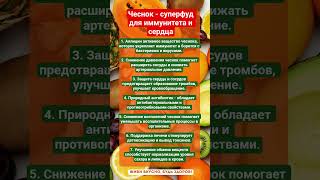 ЧЕСНОК - СУПЕРФУД ДЛЯ ИММУНИТЕТА И СЕРДЦА!!! #зож #здоровье #здоровыйдух #чеснок #пп #витамины