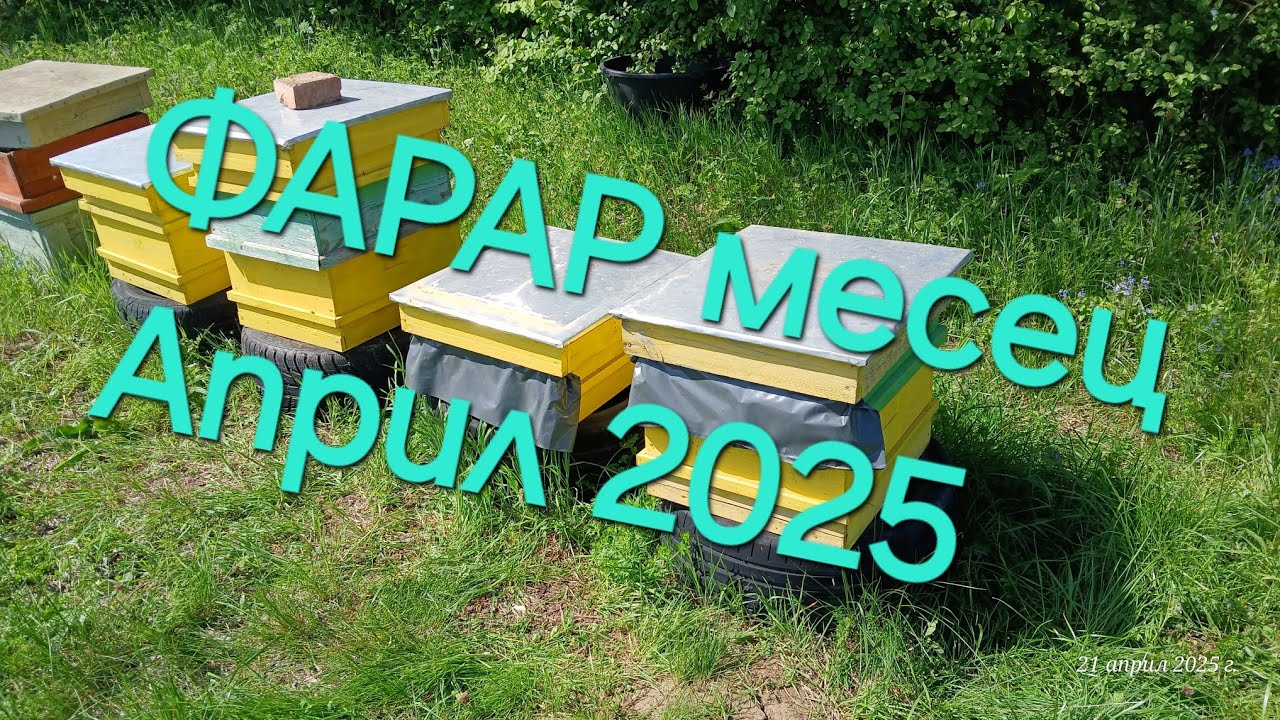 Система ФАРАР месец Април 2025 преглед пчели