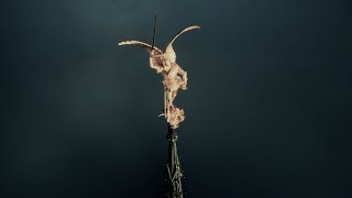 REMEDY - THE NEW SINGLE - OUT NOW