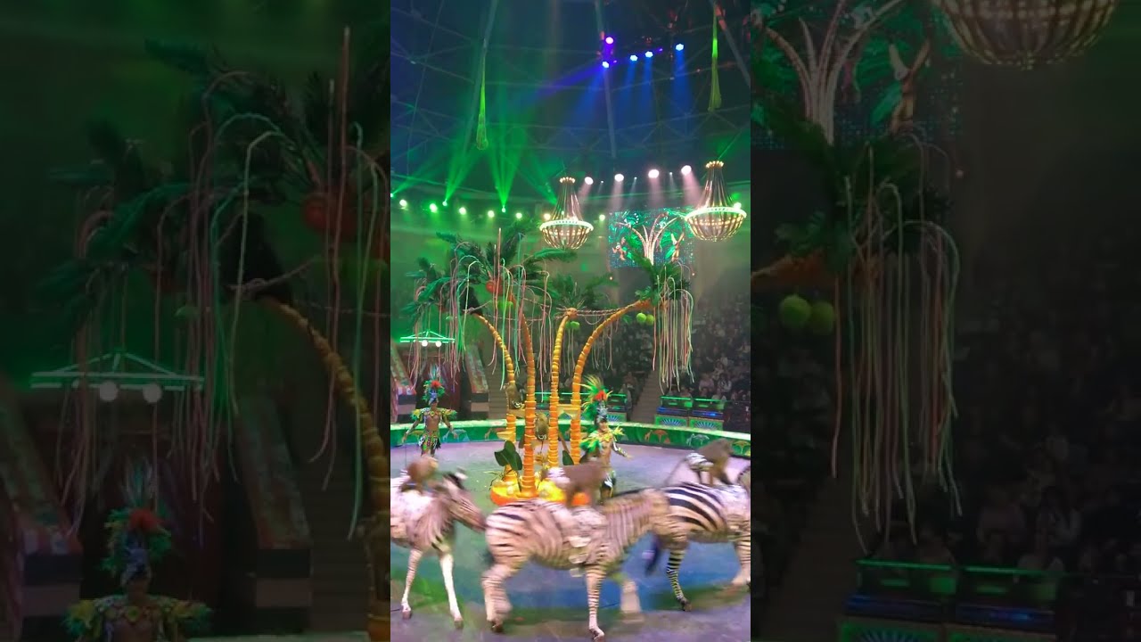Побывала на премьере 🎪 Зрители были в шоке #влог #цирк #circus
