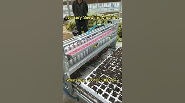 2023 Nursery Seedling Machine - How does Taizy Semi-Automatic Nursery Seeder Machine Work? #nursery