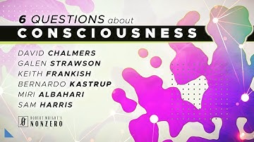 6 Questions about Consciousness w/ Chalmers, Strawson, Kastrup, Frankish, Albahari, Harris