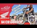 HONDA X4 CB1300 DCV