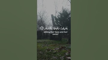#القارئ_رعد_الكردي #سورة_محمد #قرآن #اللهم_صل_على_سيدنا_محمد #لا_اله_الا_الله #quransbeauty1