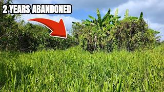 TIME LAPSE - 3 DAYS Transforming a 3,000m² ABANDONED GARDEN Using PROFESSIONAL EQUIPMENT