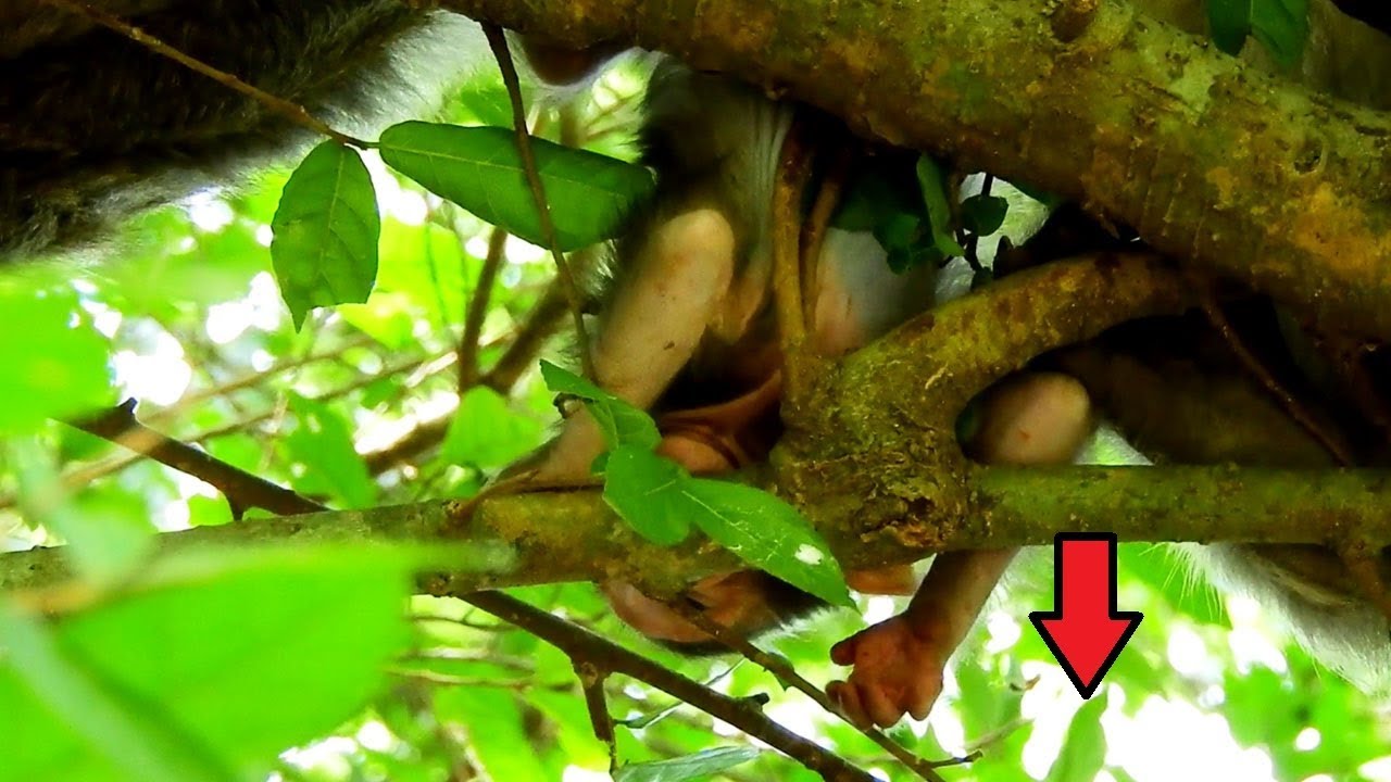 foundry Lizza On Top Head Down/ She Doesn't Be Afraid Of Falling