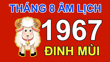 Tử Vi Tuổi Đinh Mùi 1967 Trong tháng 8 năm 2023 Âm Lịch Quý Mão