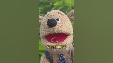 Day:9 of me shouting out MrBeast until I get 10k Subscribers  #comment #puppet #fup #mrbeast #10k