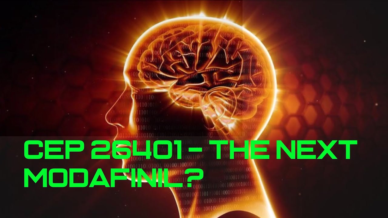 Hijacking Your Brain's Neurotransmitters With Modern Nootropics ...