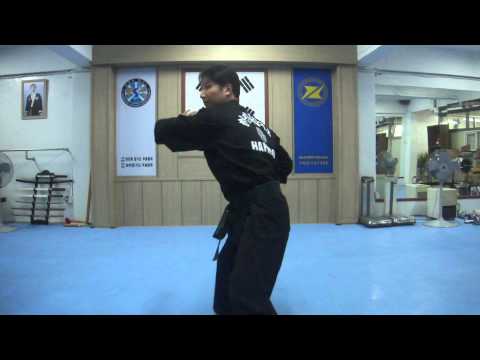 Hapkido Kido Hae Basic form #1