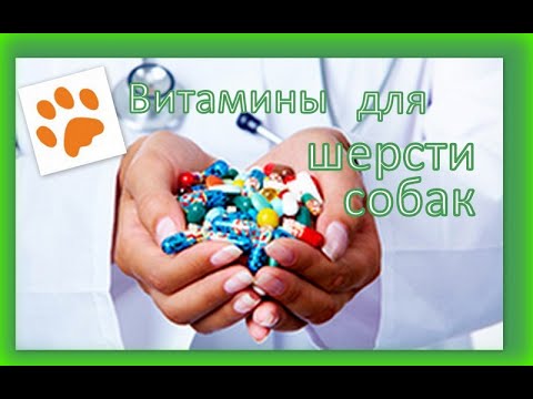 Витамины для шерсти собак. Нужны или нет.