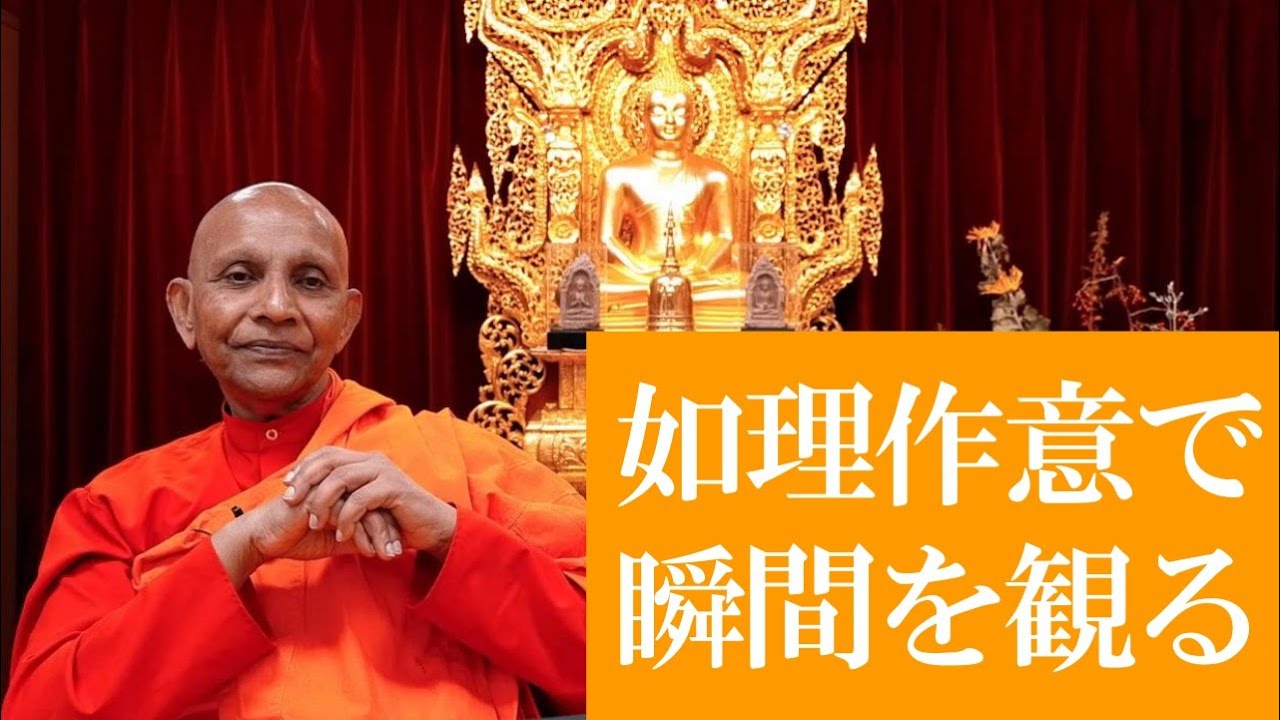 如理作意で瞬間を観る｜スマナサーラ長老の切り抜き法話（初期仏教Q&A